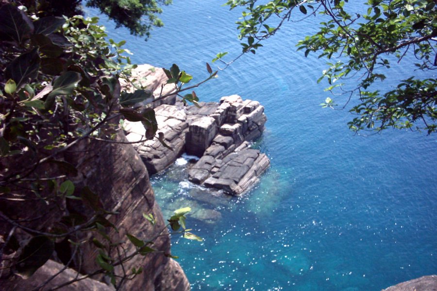 image1
