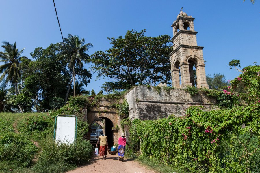 image1