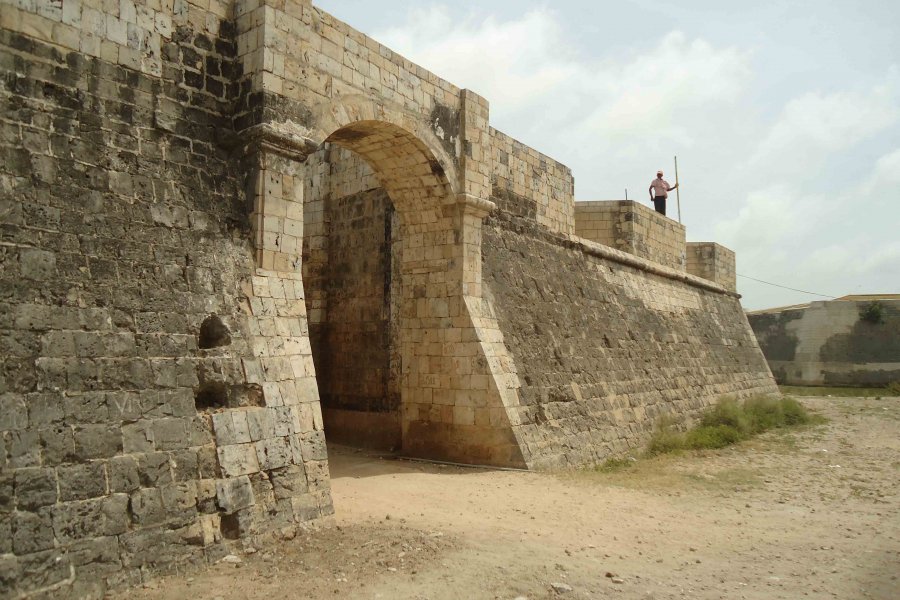 image1